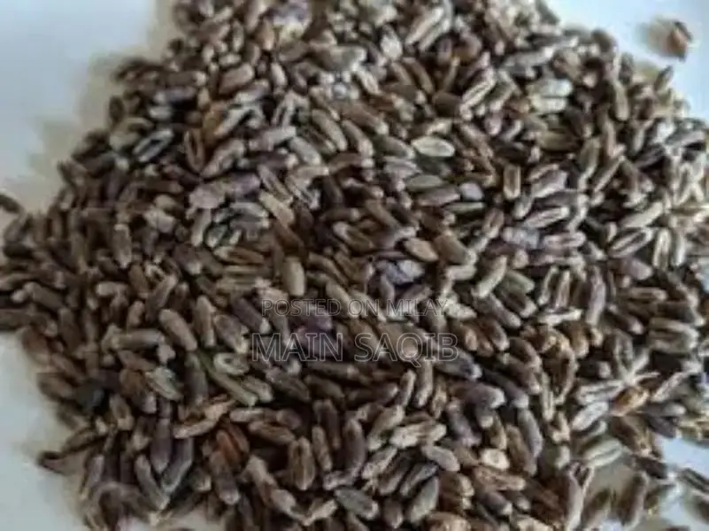 Gluten Free wheat for sale