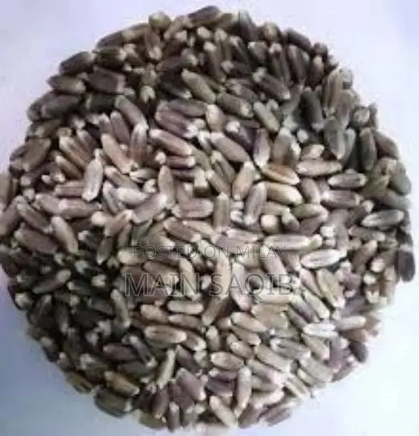 Gluten Free wheat for sale