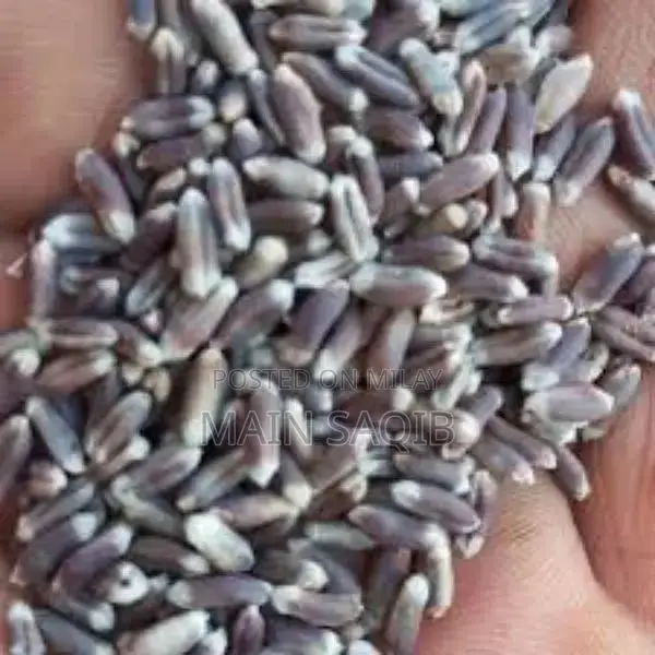 Gluten Free wheat for sale