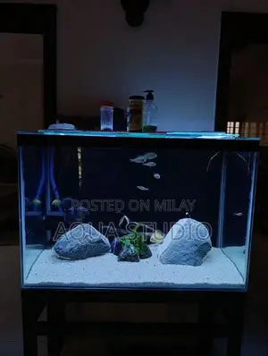 Photo - Customized Aquarium