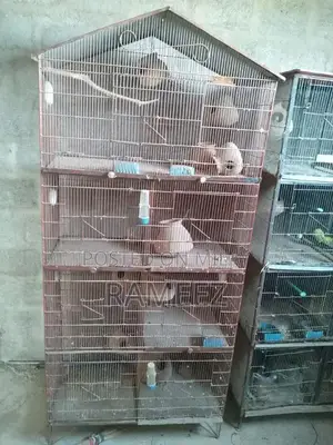 Photo - parrot or pigeon cage