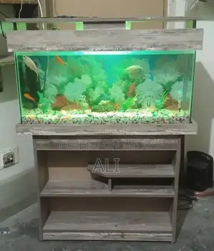 Photo - aquarium with full accessories