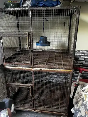 Photo - Hens and parrot cage for sale