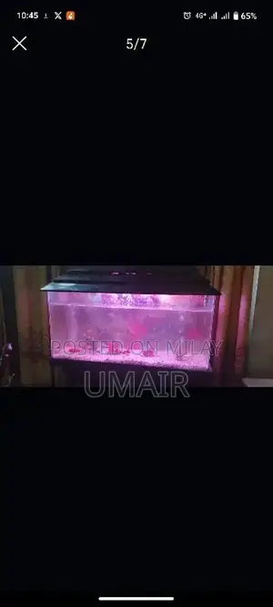 Photo - Fish Aquarium net & clean condition