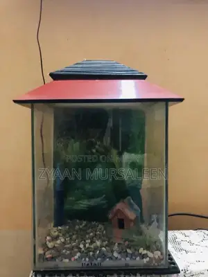 Photo - Fish Aquarium