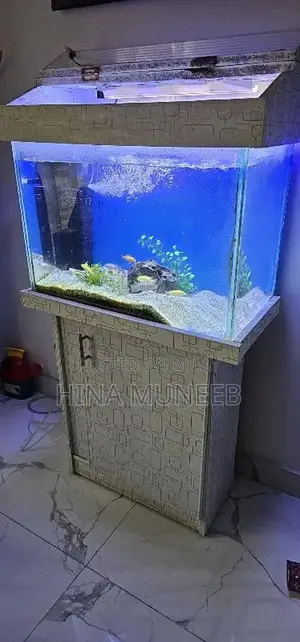 Photo - one year used aquarium for sale