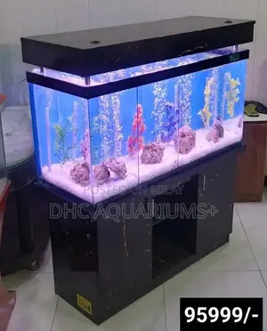 Photo - Flower horn fish AQUARIUM