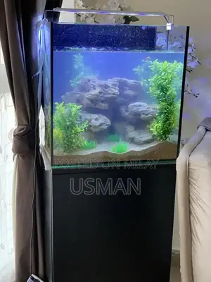 Photo - Complete Aquarium  Package