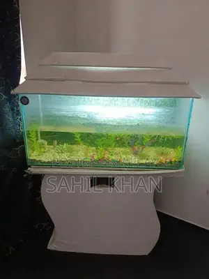Photo - Aquarium for sell 3 fit size