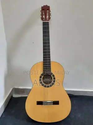 Photo - Professional guitar