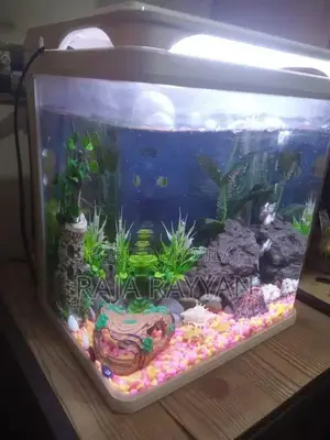 Photo - Imported Curved Aquarium