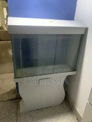 Photo - High quality aquarium