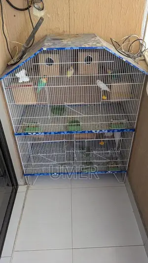 Photo - cage bird is up for sale