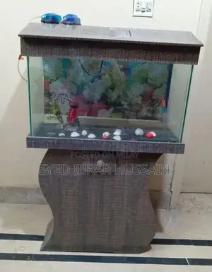 Photo - Fish aquarium
