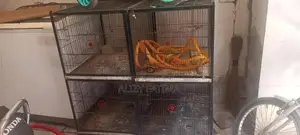 Photo - parrot pinjra for sale