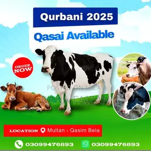 Photo - Cow / Bulls / Goat / Qurbani 2025 Qasai Avalaible