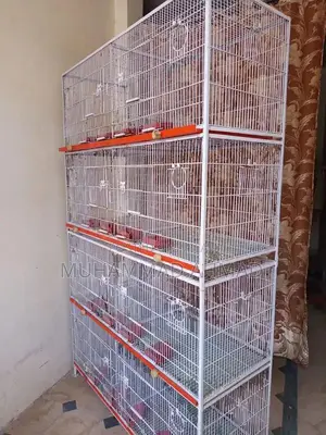 Photo - cage pinjry love bird cage