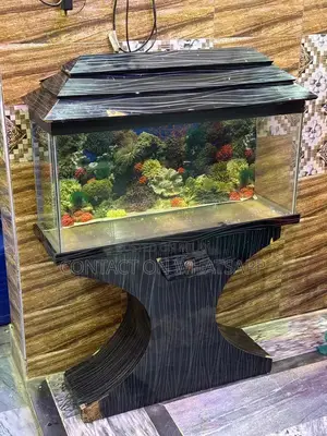 Photo - Fish aquarium neat and clean