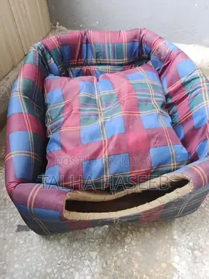 Photo - cat play pen and house