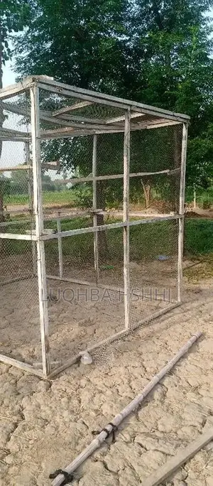Photo - 8/10 ka jaaaal. ha jali b bilkol ok hy