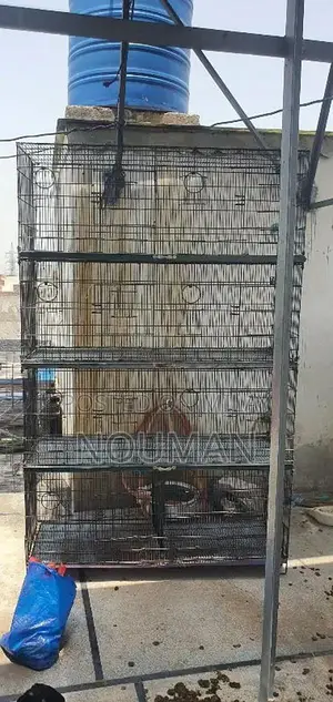 Photo - cage 4 portion