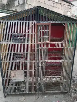 Photo - Hen cage