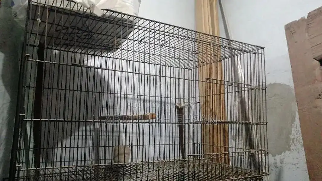 Cages for sale