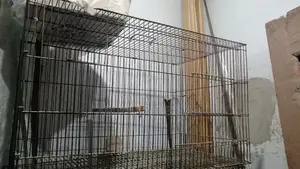 Photo - Cages for sale