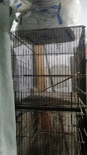 Cages for sale