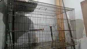 Cages for sale