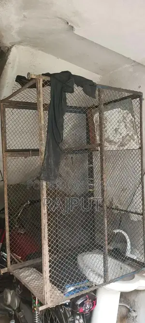 Photo - hen cage