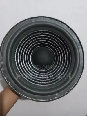 Photo - 10 inch speaker