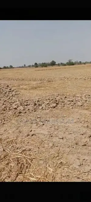 Photo - 60 Acer agriculture Land for sale in Bedian road Jahman Laho