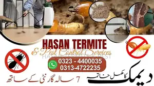 Photo - Termite Control Deemak Control Pest Control Near me Pesticid