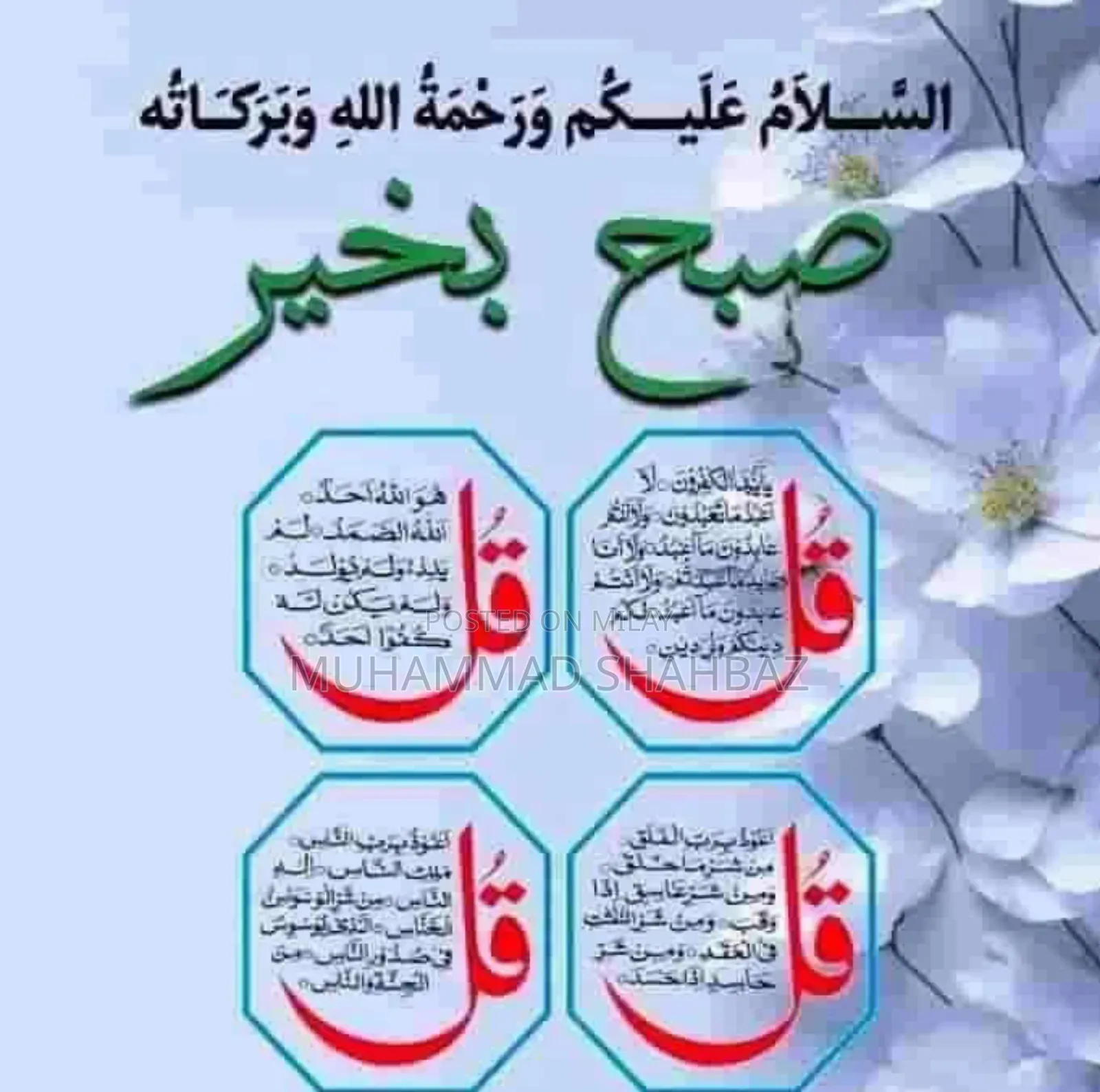 Online Quran Teacher