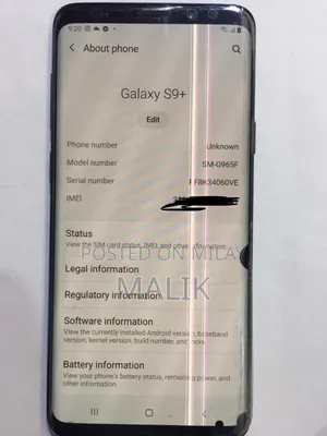 Samsung Galaxy S9 Plus 64 GB Blue