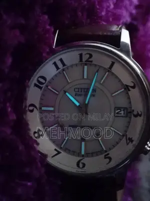 Photo - Citizen Eco-Drive | Radio-Controlled Elegance
