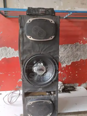 Amplifier With Speaker