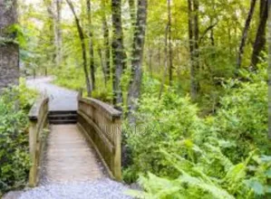 Photo - Body Relaxation Services For