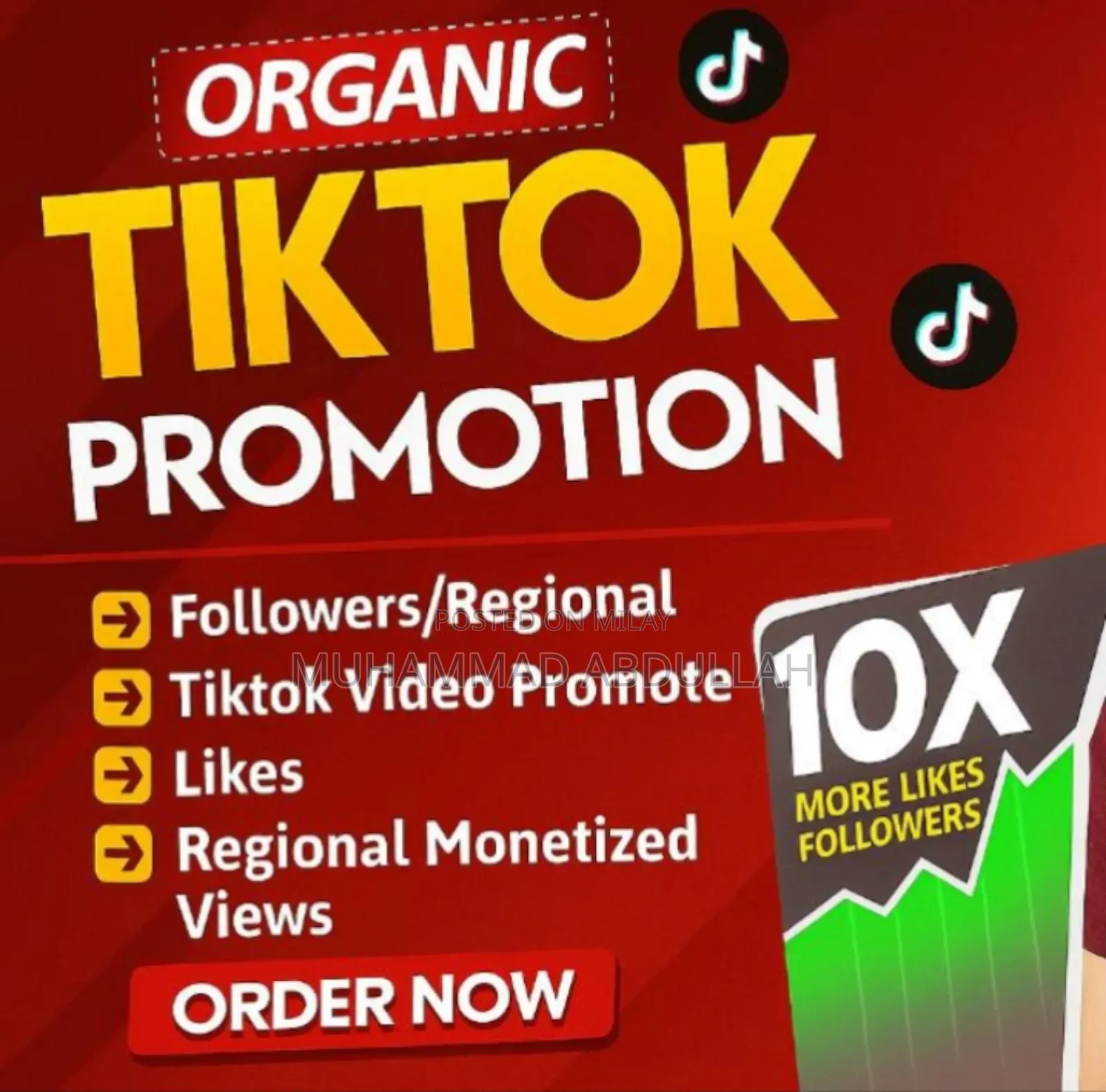 Tiktok Services Provider