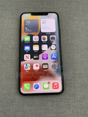 Apple iPhone 11 Pro Max 256 GB Gray