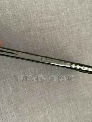 Apple iPhone 11 Pro Max 256 GB Gray