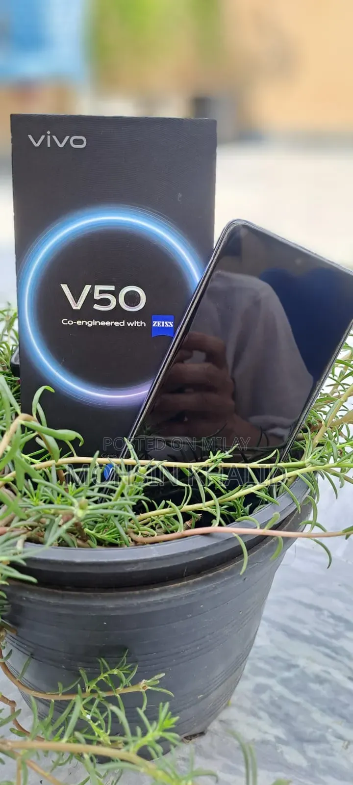 New Vivo V50 256 GB White