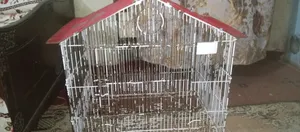 Still Cage for Sale