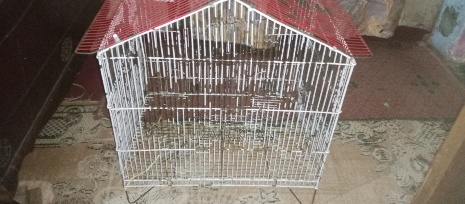 Still Cage for Sale