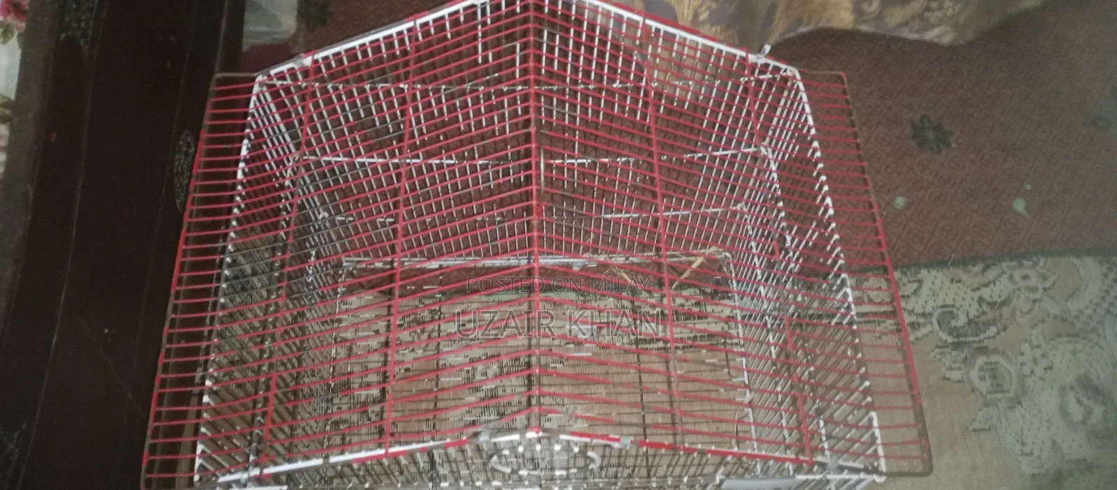 Still Cage for Sale