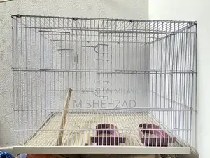 Photo - Birds Cage