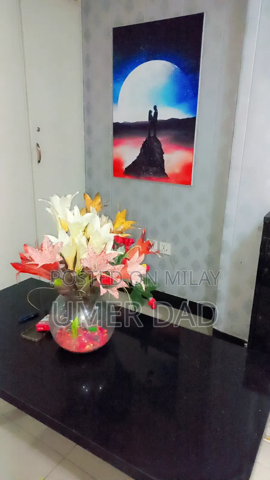 Furnished 1bdrm Apartment in Apartment, E-11 for rent