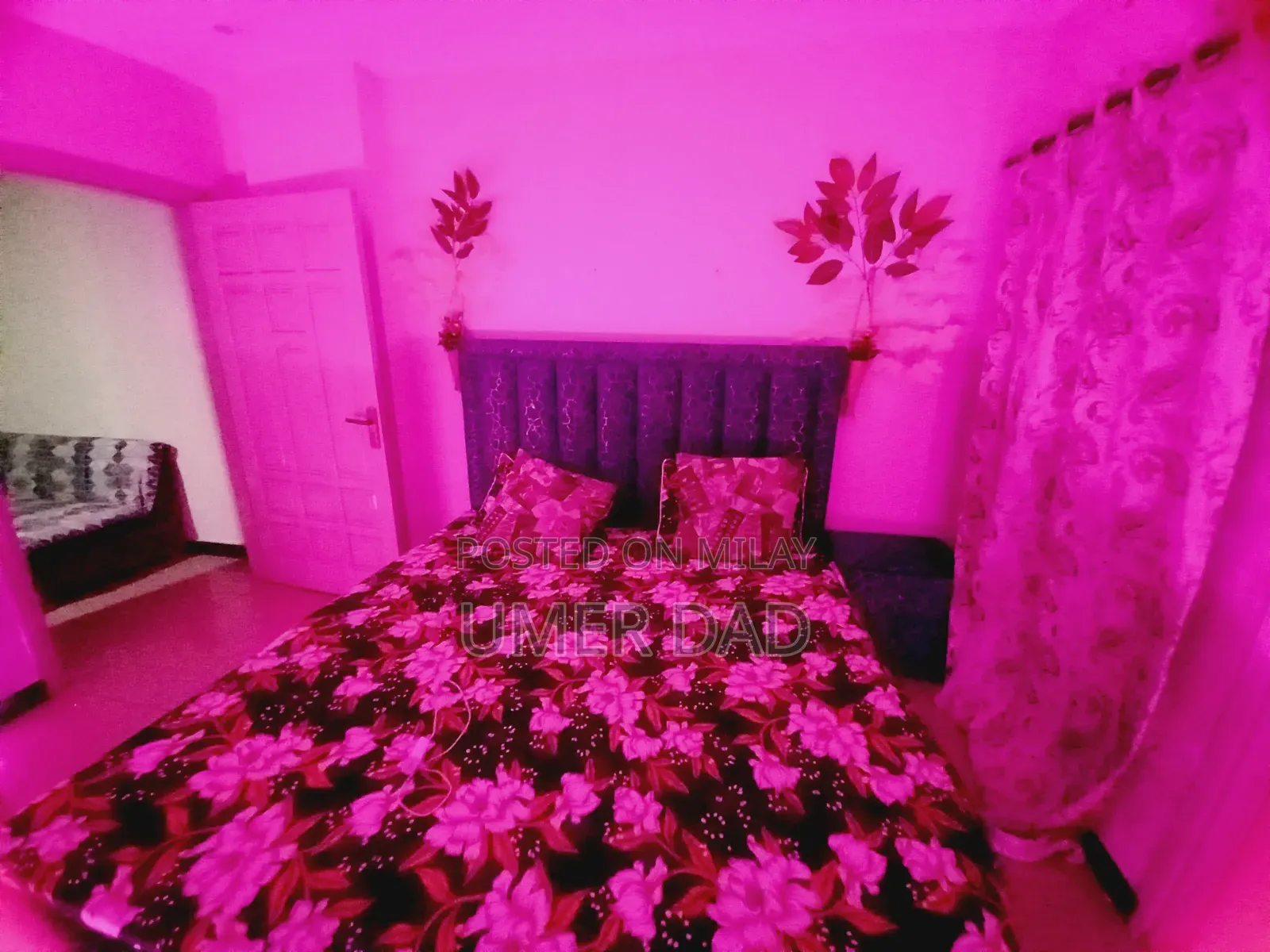 Furnished 1bdrm Apartment in Apartment, E-11 for rent