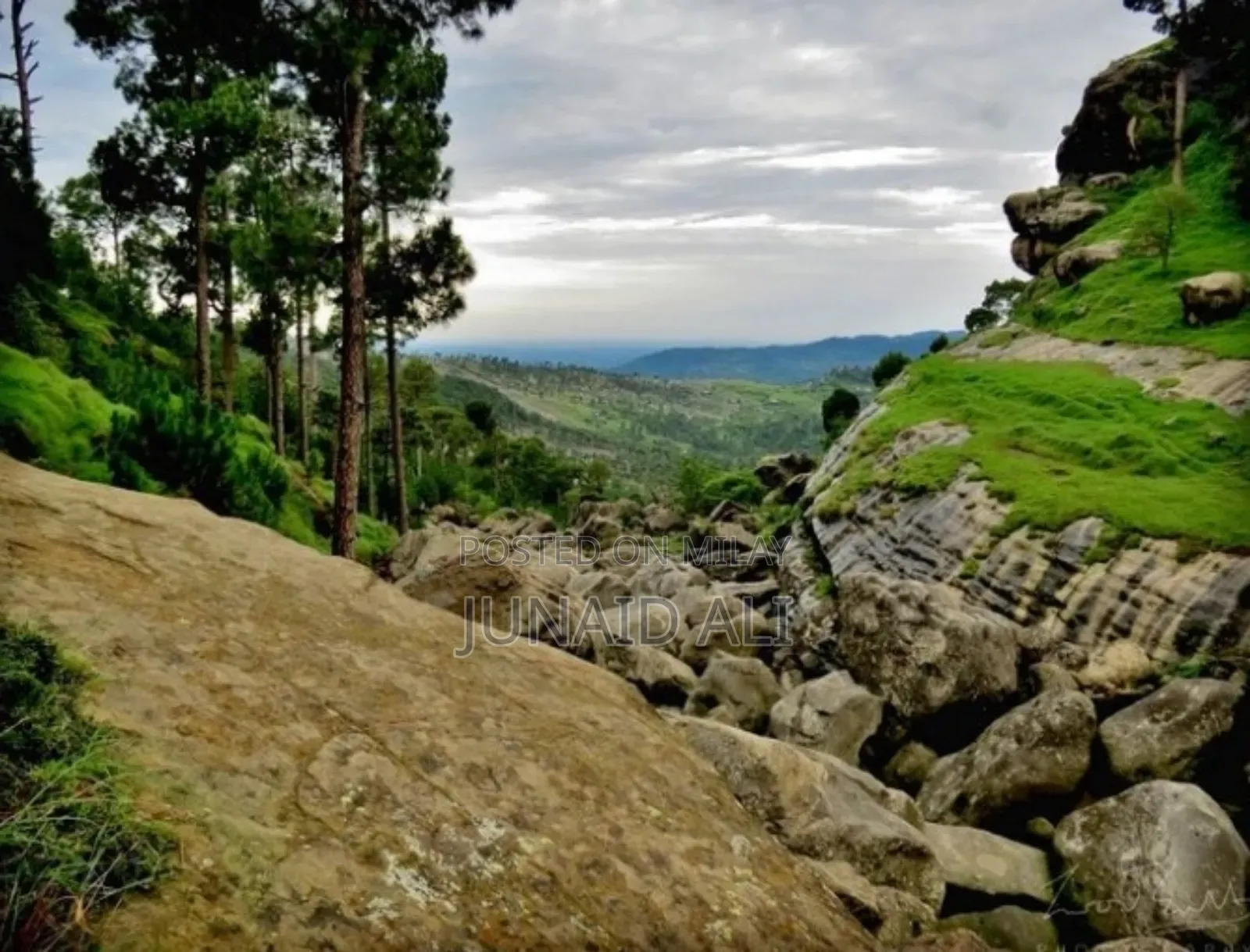 Spa Services at Your Home Junaid for Fm